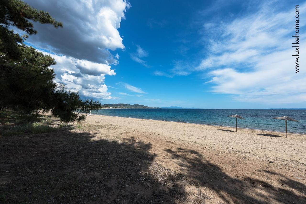 #Luxlikehome - Mediterranee Beachfront Summer House Kalyves Polygyrou Zewnętrze zdjęcie