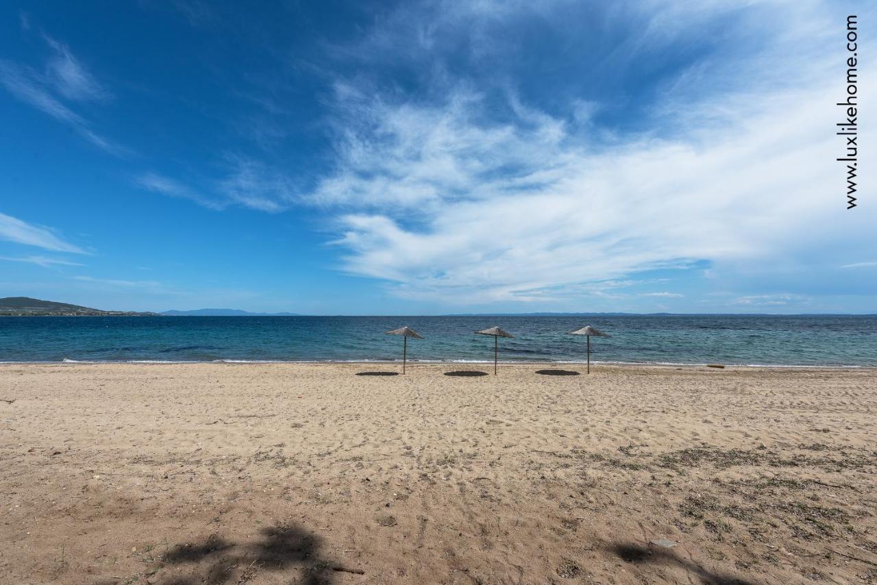 #Luxlikehome - Mediterranee Beachfront Summer House Kalyves Polygyrou Zewnętrze zdjęcie